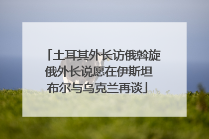 土耳其外长访俄斡旋 俄外长说愿在伊斯坦布尔与乌克兰再谈