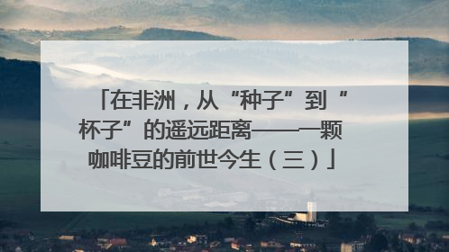 在非洲，从“种子”到“杯子”的遥远距离——一颗咖啡豆的前世今生（三）