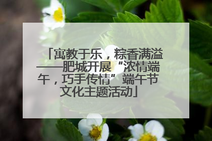 寓教于乐，粽香满溢——肥城开展“浓情端午，巧手传情”端午节文化主题活动