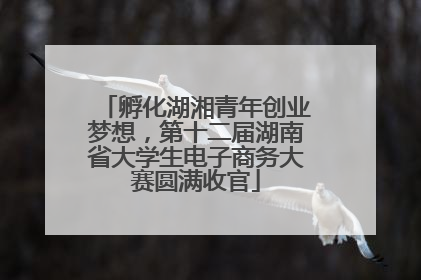 孵化湖湘青年创业梦想，第十二届湖南省大学生电子商务大赛圆满收官