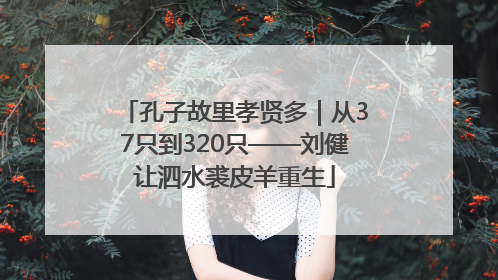 孔子故里孝贤多｜从37只到320只——刘健让泗水裘皮羊重生