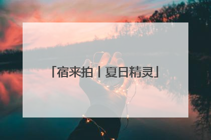 宿来拍丨夏日精灵