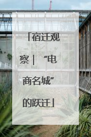 宿迁观察｜“电商名城”的跃迁