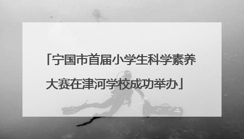 宁国市首届小学生科学素养大赛在津河学校成功举办