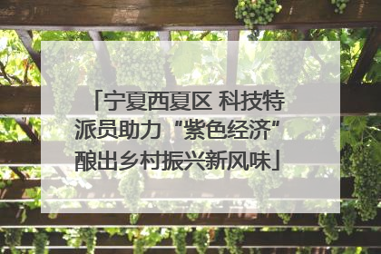 宁夏西夏区 科技特派员助力“紫色经济”酿出乡村振兴新风味