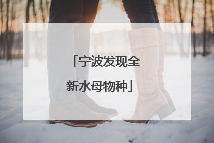 宁波发现全新水母物种