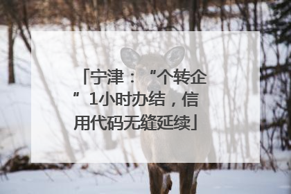 宁津：“个转企”1小时办结，信用代码无缝延续