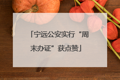 宁远公安实行“周末办证”获点赞