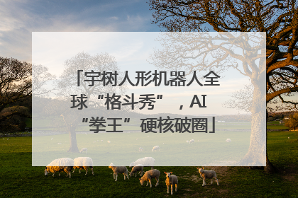 宇树人形机器人全球“格斗秀”，AI“拳王”硬核破圈