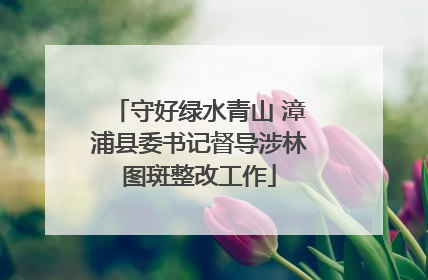 守好绿水青山 漳浦县委书记督导涉林图斑整改工作