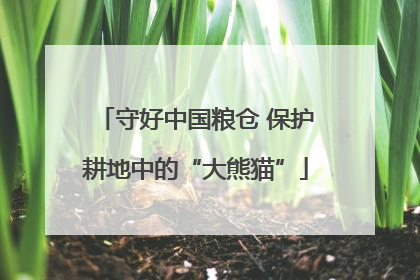 守好中国粮仓 保护耕地中的“大熊猫”