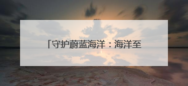 守护蔚蓝海洋：海洋至尊与青年携手用科技与行动之力托起纯净未来