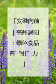 安徽向前｜亳州涡阳：绿色食品有“引”力