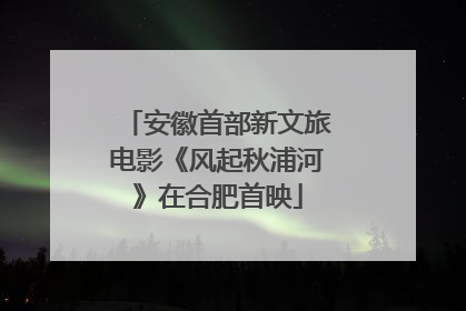 安徽首部新文旅电影《风起秋浦河》在合肥首映