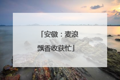 安徽：麦浪飘香收获忙