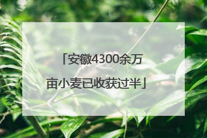 安徽4300余万亩小麦已收获过半