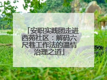 安职实践团走进西苑社区：解码六尺巷工作法的温情治理之道