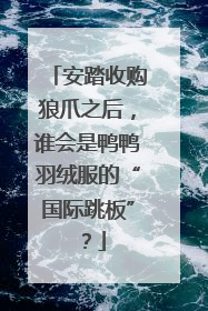 安踏收购狼爪之后，谁会是鸭鸭羽绒服的“国际跳板”？