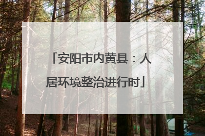 安阳市内黄县：人居环境整治进行时
