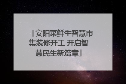 安阳菜鲜生智慧市集装修开工 开启智慧民生新篇章
