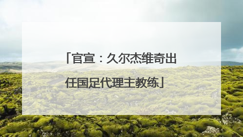 官宣：久尔杰维奇出任国足代理主教练