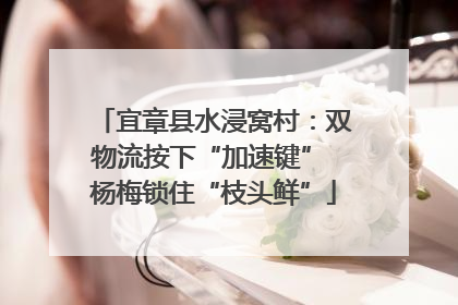 宜章县水浸窝村：双物流按下“加速键” 杨梅锁住“枝头鲜”