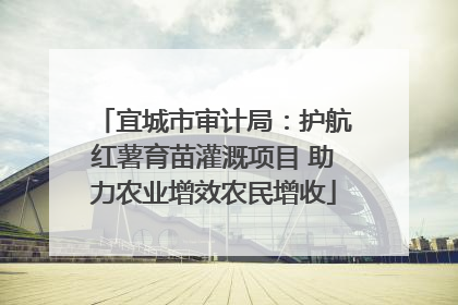 宜城市审计局：护航红薯育苗灌溉项目 助力农业增效农民增收
