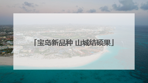 宝岛新品种 山城结硕果