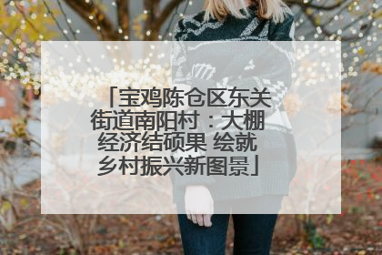 宝鸡陈仓区东关街道南阳村：大棚经济结硕果 绘就乡村振兴新图景