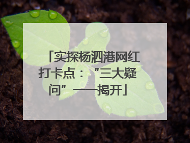 实探杨泗港网红打卡点：“三大疑问”一一揭开