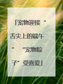 宠物迎接“舌尖上的端午” “宠物粽子”受喜爱