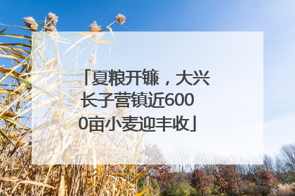 夏粮开镰，大兴长子营镇近6000亩小麦迎丰收