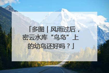 多图｜风雨过后，密云水库“鸟岛”上的幼鸟还好吗？