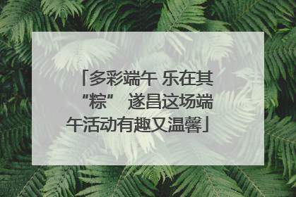 多彩端午 乐在其“粽” 遂昌这场端午活动有趣又温馨