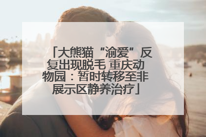 大熊猫“渝爱”反复出现脱毛 重庆动物园：暂时转移至非展示区静养治疗