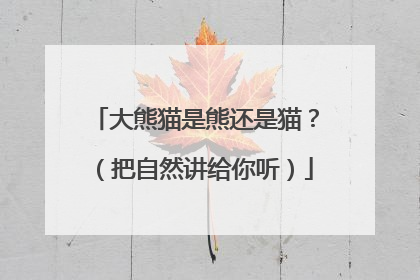 大熊猫是熊还是猫？（把自然讲给你听）