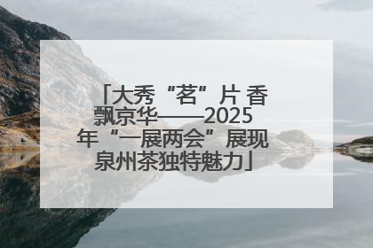 大秀“茗”片 香飘京华——2025年“一展两会”展现泉州茶独特魅力