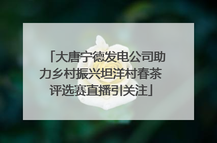 大唐宁德发电公司助力乡村振兴坦洋村春茶评选赛直播引关注