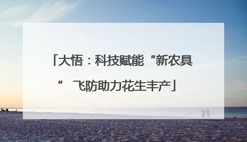 大悟：科技赋能“新农具” 飞防助力花生丰产