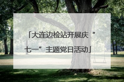 大连边检站开展庆“七一”主题党日活动