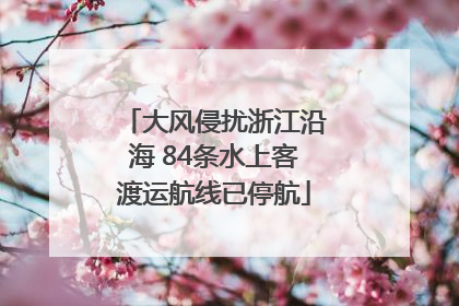 大风侵扰浙江沿海 84条水上客渡运航线已停航