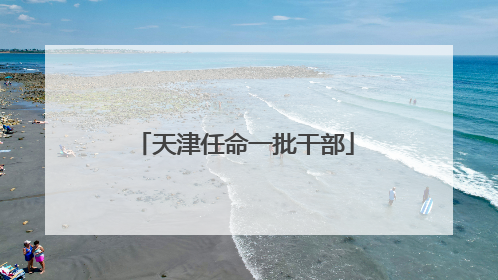 天津任命一批干部