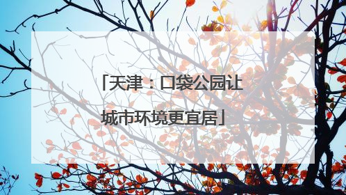 天津：口袋公园让城市环境更宜居