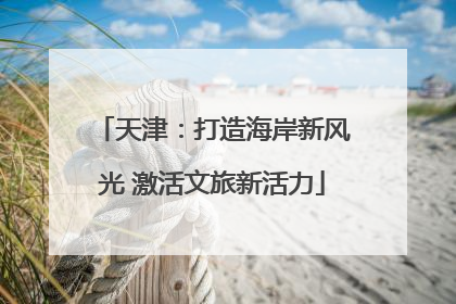 天津：打造海岸新风光 激活文旅新活力