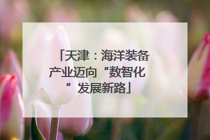 天津：海洋装备产业迈向“数智化”发展新路