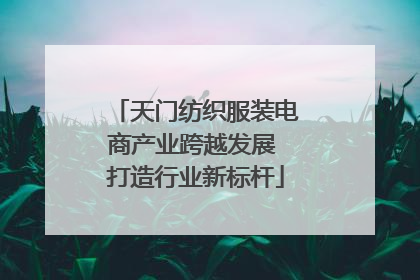 天门纺织服装电商产业跨越发展 打造行业新标杆