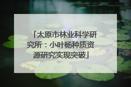 太原市林业科学研究所：小叶杨种质资源研究实现突破