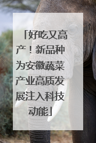 好吃又高产！新品种为安徽蔬菜产业高质发展注入科技动能