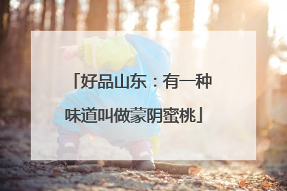 好品山东：有一种味道叫做蒙阴蜜桃