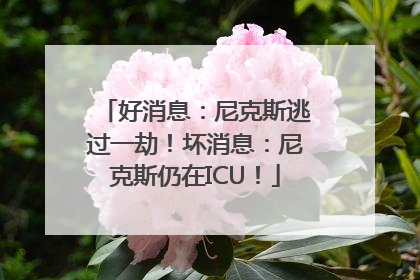 好消息：尼克斯逃过一劫！坏消息：尼克斯仍在ICU！